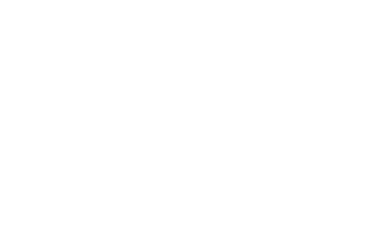 Decorative Aspectair pattern